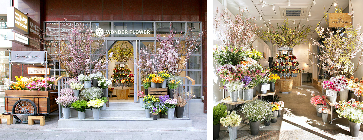 アトレ目黒店 Shop Info Wonder Flower ワンダーフラワー お花の販売 花屋